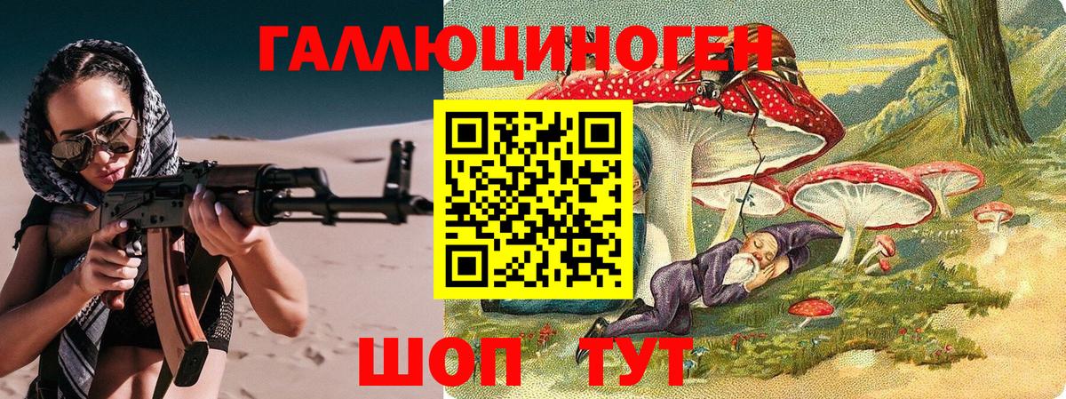как найти   Галлюциногенные грибы Psilocybe  Вход с VPN  Кингисепп  Псилоцибиновые грибы ЛСД 