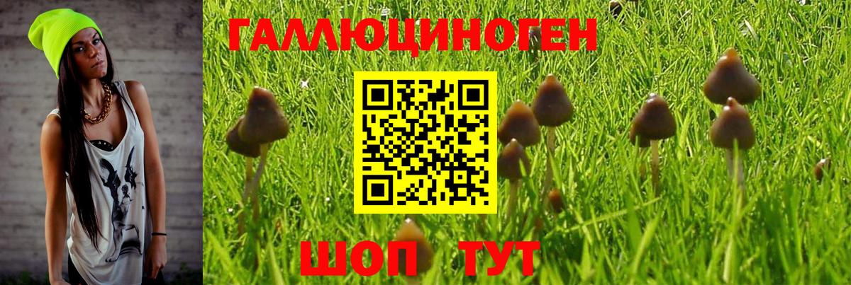 Галлюциногенные грибы Кингисепп